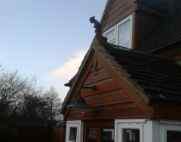 gargoyle roll top ridge tile on porch