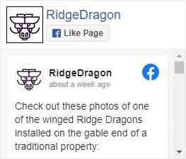 about the roof dragons